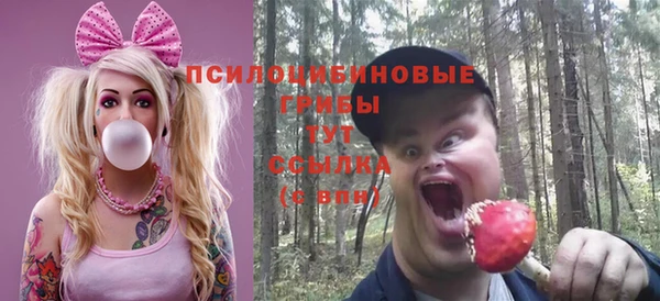 первитин Саяногорск