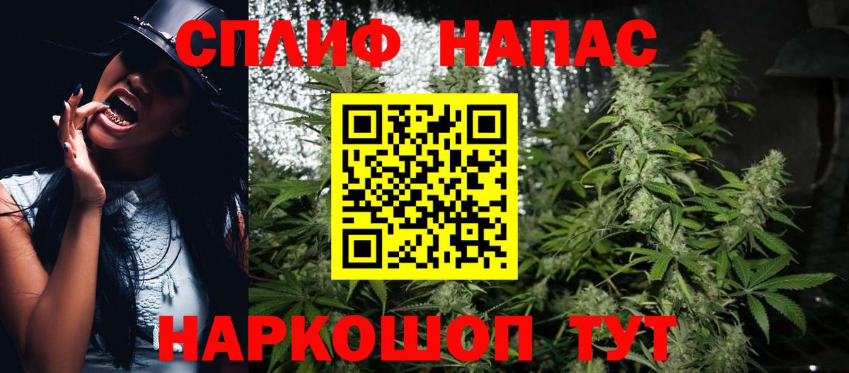 Конопля индика Печора